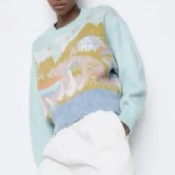 Zara Jacquard Knit Intarsia Countryside Goose Geese Sweater Blogger Favorite - Picture 11 of 15